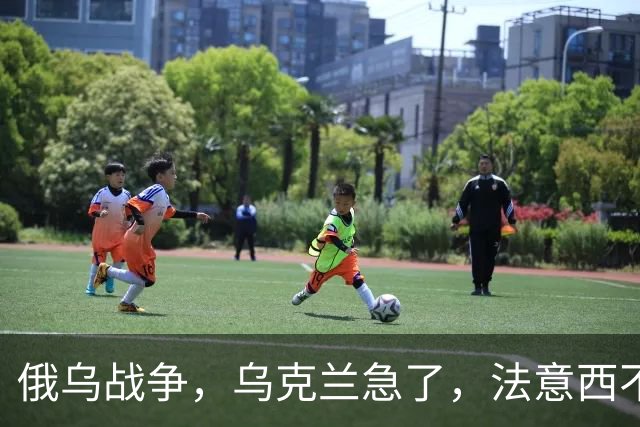 俄乌战争，乌克兰急了，法意西不想管了